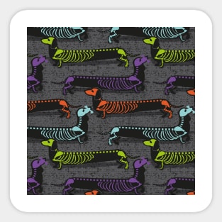 Spooktacular long dachshunds skeleton // dark grey background multicoloured dog bones Sticker